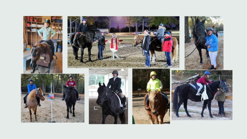 Dream Riders therapeutic horseback riding