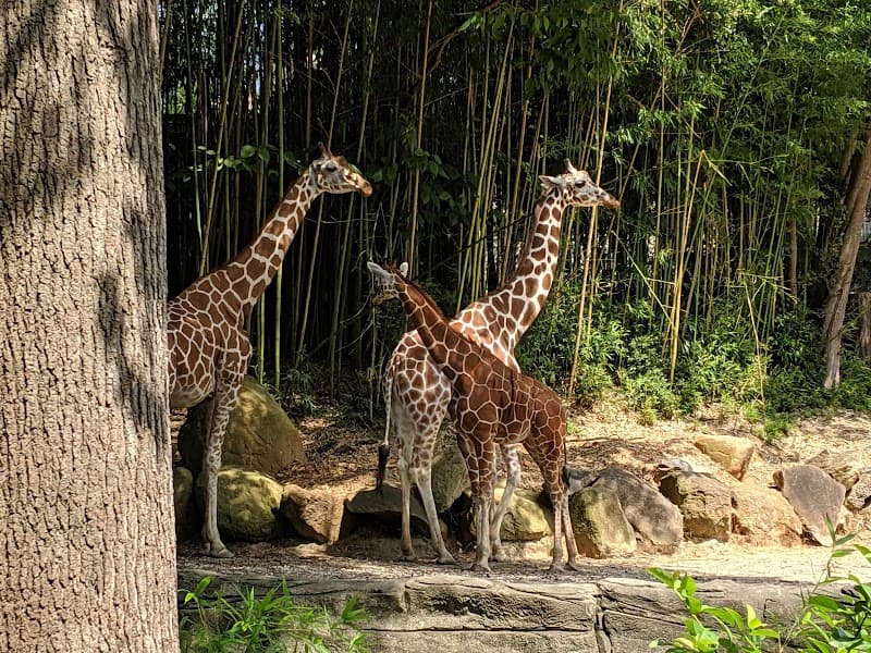 Riverbanks Zoo & Garden - Photo 3